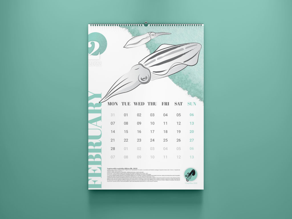 calendario mese febbraio con calamaro; February month of the calendar with a squid